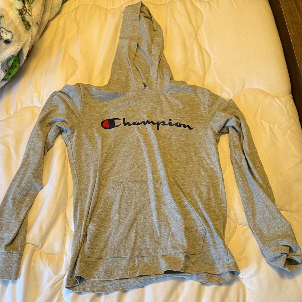 Champion Light Gray Hoodie